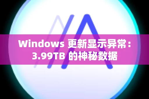 Windows 更新显示异常：3.99TB 的神秘数据