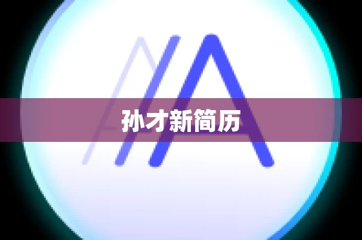 孙才新简历